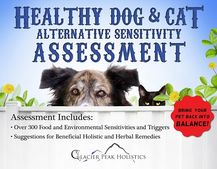 Glacier Peak Holistics Healthy Dog & Cat Alternative Sensitivity Assessment.