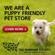Puppy Friendly Pet Store